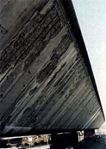 a13.viaduc.stcloud.d5.jpg (9732 octets)